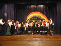 Celovečerni nastop v Artičah - FS Artiče