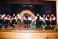 Celovečerni nastop v Artičah - FS Artiče