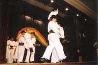 Celovečerni nastop v Artičah - mlajša FS Artiče