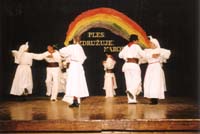 Celovečerni nastop v Artičah - mlajša FS Artiče